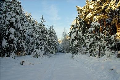 在对抗中寻求新力量！《命运2》全新突袭副本门徒誓约上线