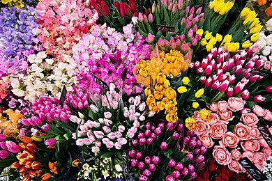 《法师死斗》开发商“新感觉动作游戏”《深渊记忆》公布